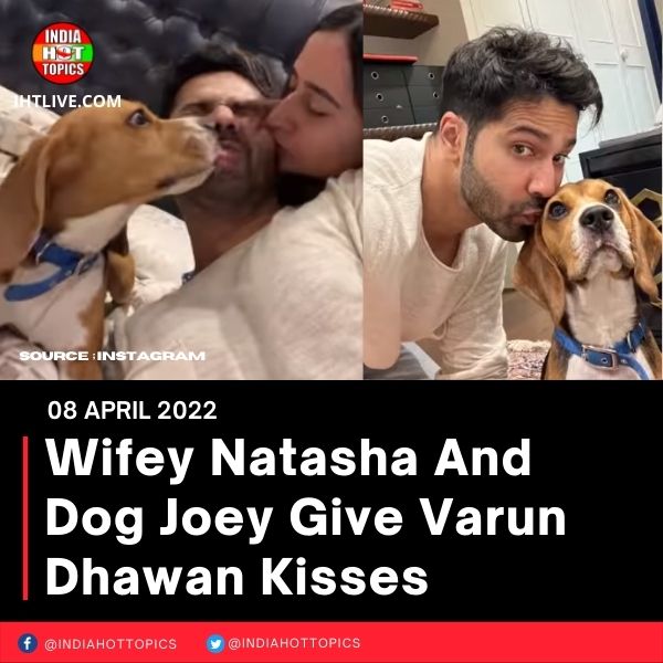 Wifey Natasha And Dog Joey Give Varun Dhawan Kisses