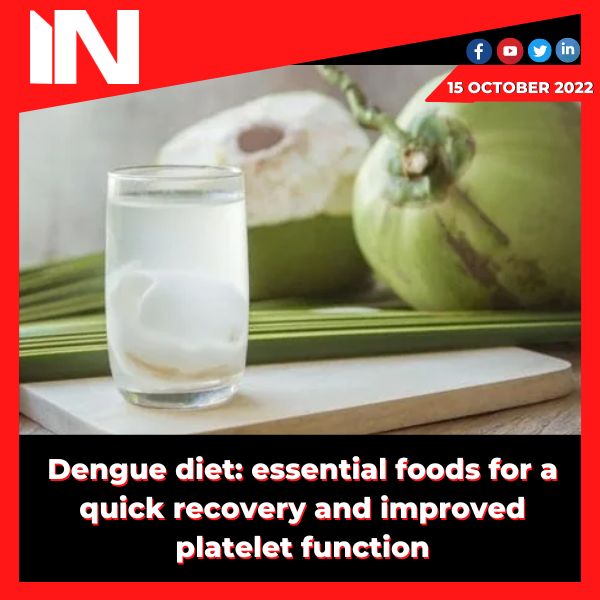 Dengue diet: essential foods for a quick recovery and improved platelet function