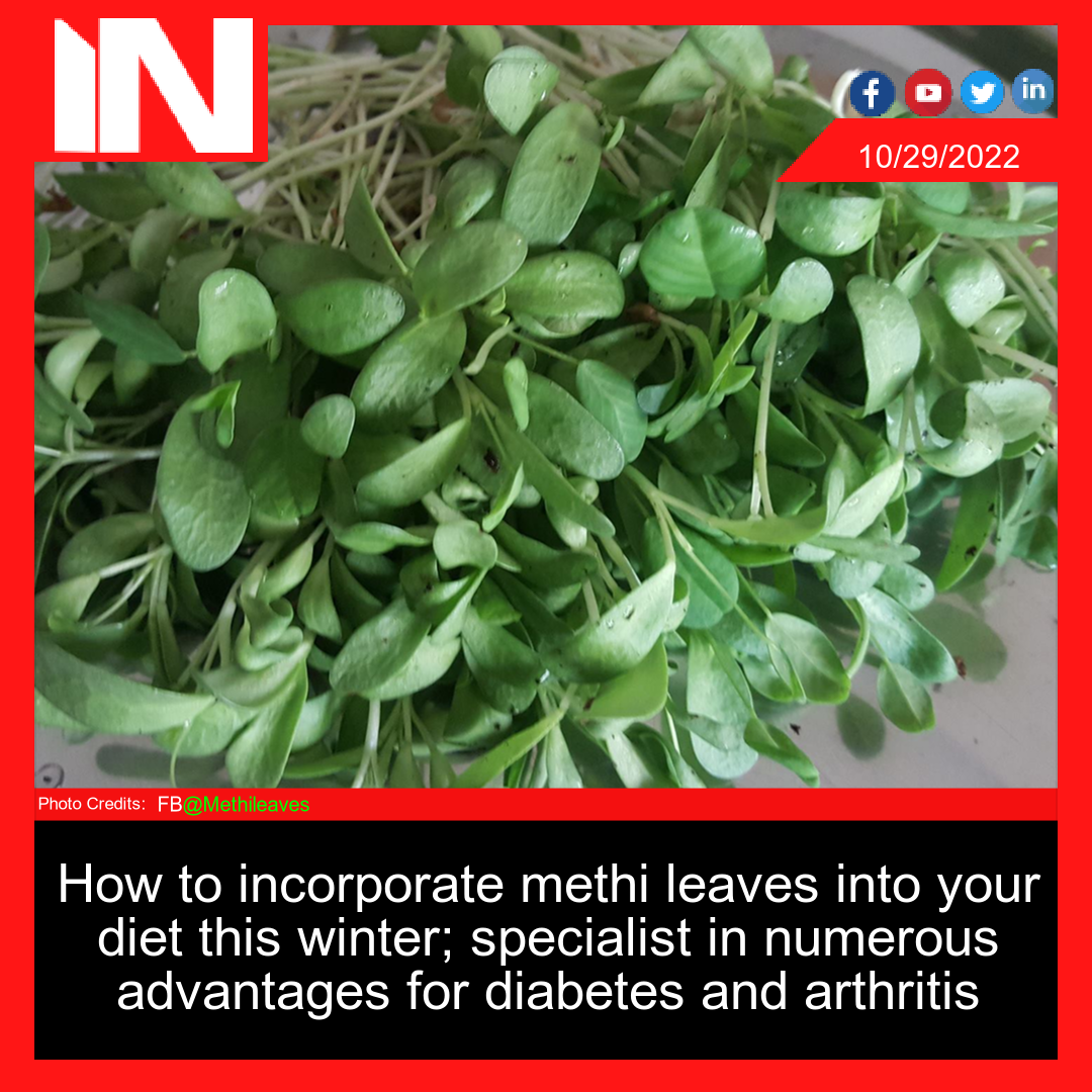 How to incorporate methi leaves into your diet this winter; specialist in numerous advantages for diabetes and arthritis