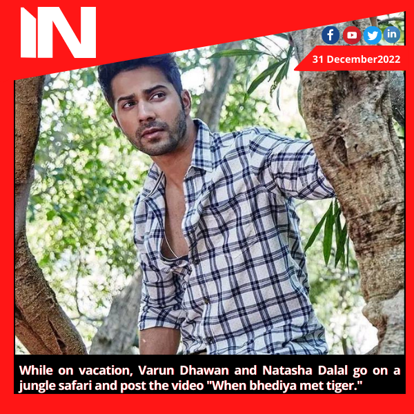 While on vacation, Varun Dhawan and Natasha Dalal go on a jungle safari and post the video “When bhediya met tiger.”