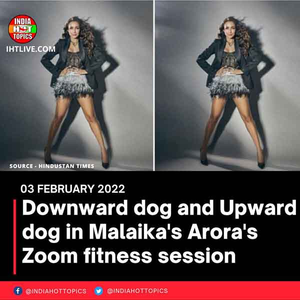 Downward dog and Upward dog in Malaika’s Arora’s Zoom fitness session