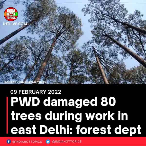 PWD damaged 80 trees during work in east Delhi: forest dept