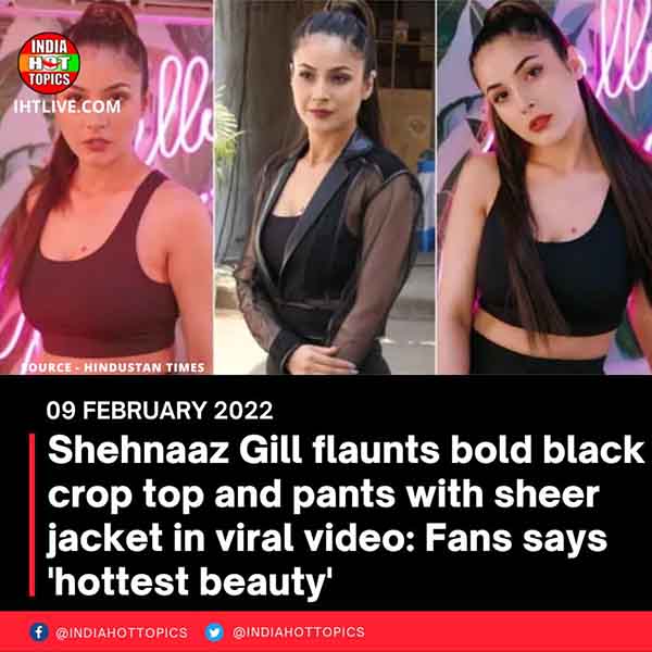 Shehnaaz Gill flaunts bold black crop top and pants with sheer jacket in viral video: Fans says ‘hottest beauty’