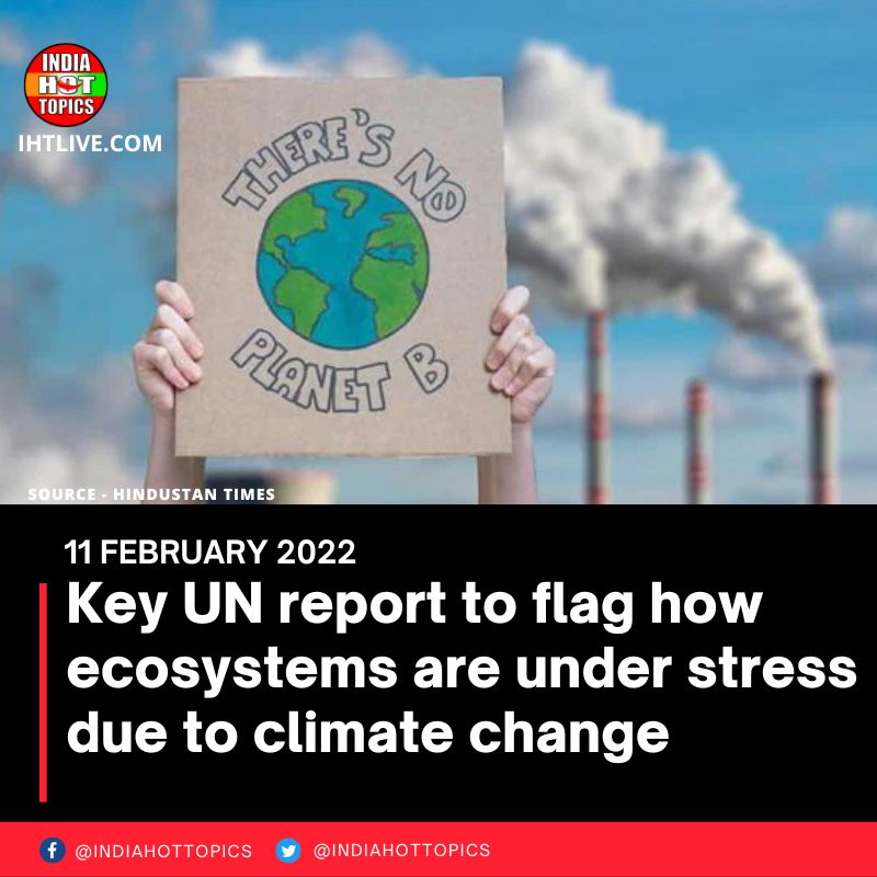 Key UN report to flag how ecosystems are under stress due to climate change