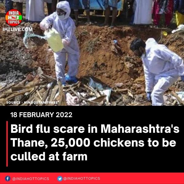 Bird flu scare in Maharashtra’s Thane, 25,000 chickens to be culled at farm