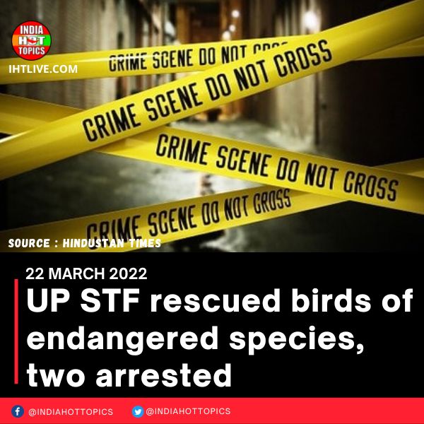 UP STF rescued birds of endangered species, two arrested