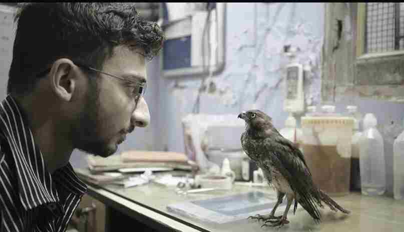 ‘All That Breathes’ documentry  By Shaunak Sen wins World Cinema Grand Jury Prize at Sundance Film Festival 2022